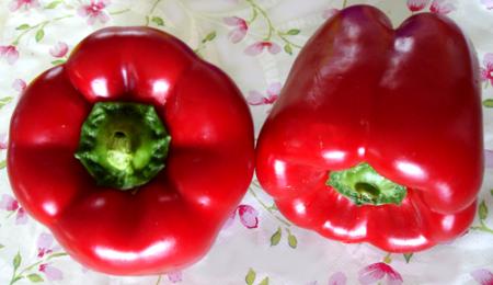 Quel beau rouge, je vais faire des poivrons en marinade