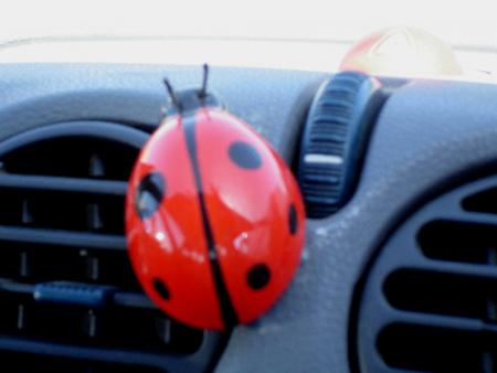 Il parait que �a d�sodorise la voiture...