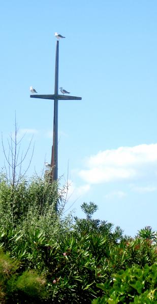 Chaque jour les mouettes se tiennent l� comme sur le mat d'un bateau.