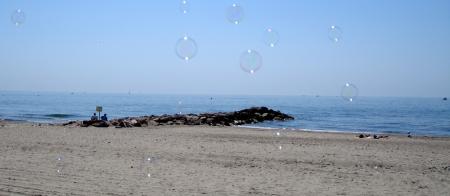 Eph�m�res et fragiles