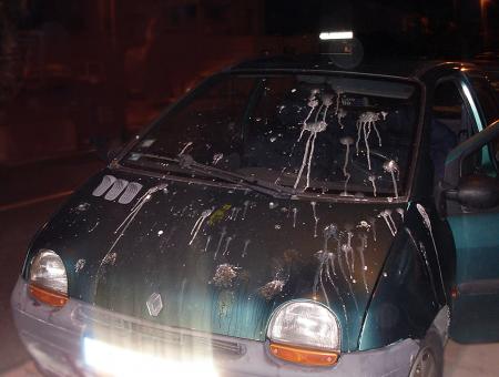 Une oeuvre d'art sign�e : Les mouettes !