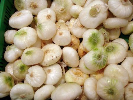 Frais, blancs et verts