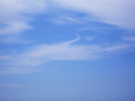 Les jours se suivent et....il fait beau ce 2 juin