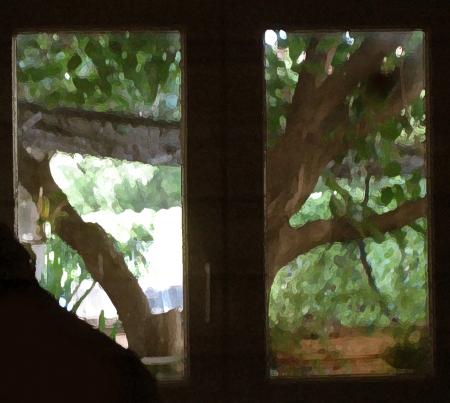 Reflet d'une fen�tre dans une autre fen�tre, effet de peinture...surprenant !