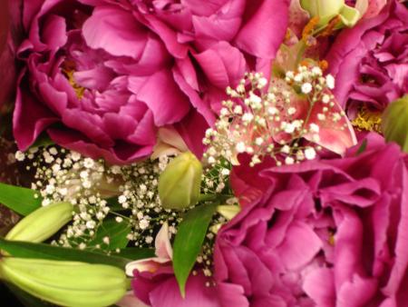 Tout simplement belles...