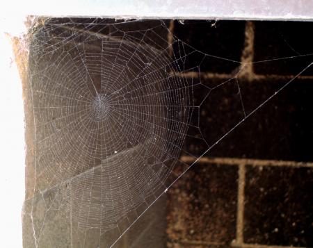 Pi�ge de soie, v�ritable oeuvre d'art d'une petite fileuse.