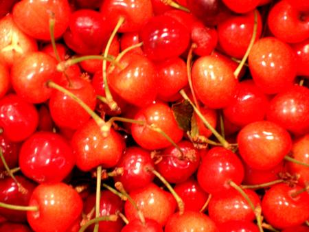 Cerises du jour