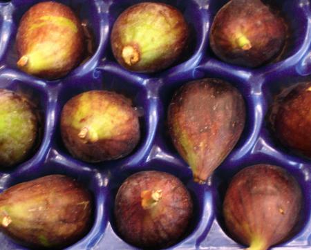 Chacune � sa place...quand on mange une figue fra�che, c'est le soleil qui vous coule dans la bouche.