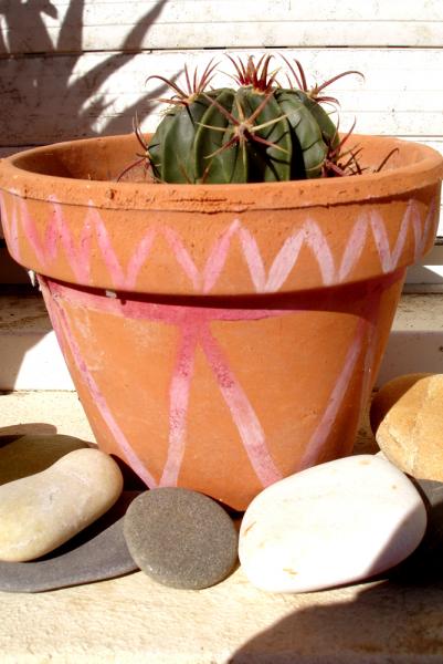 Cactus en pot et galets