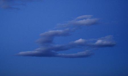 Et l'oiseau devint nuage et le nuage s'envola.