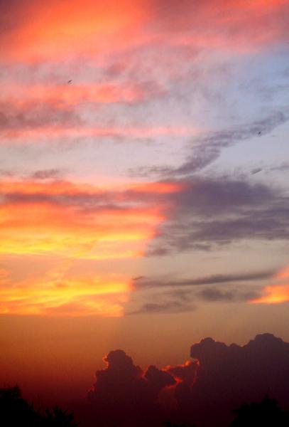 Je sais, a fait toujours  