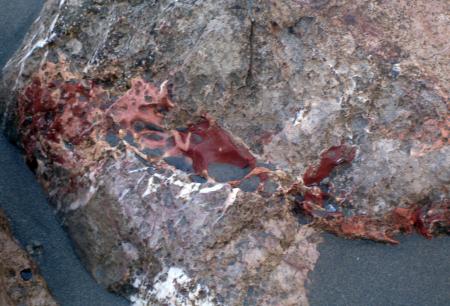 Ce petit rocher semble vritablement saigner, 