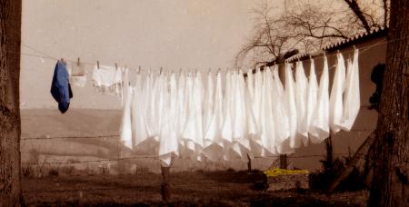 Reliant deux arbres,  lessive d'un jour