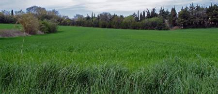 Je m'arrte l et je respire, j'aime cette verdure !
