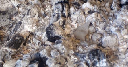 Tout a une fin ....m�me la faim !