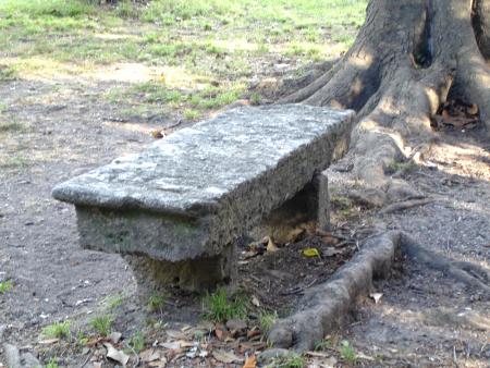 Le banc de la solitude