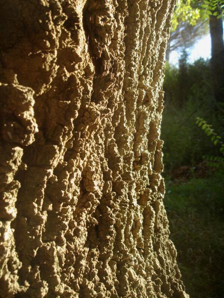 Je l'ai enlac et embrass pour partager sa force
