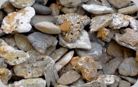 Runion de galets et cailloux , en bonne entente....c'est pas l'assemble gnrale quoi !