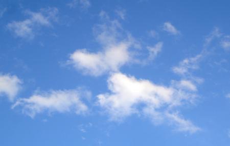 Moi je vois le chien Bill et vous ?