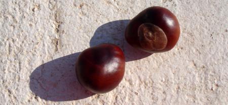 En pleine conversation...