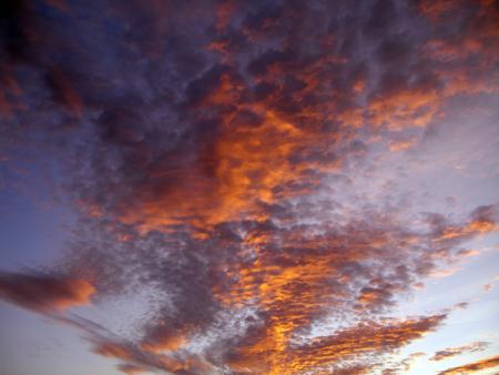 Encore un ciel de rve...  vite l, vite loin...le vent me l'a chip !