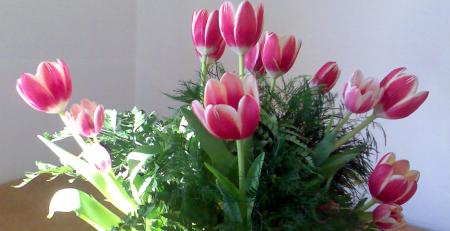 Laissez moi figer par cette photo la beaut, avant qu'elle .....